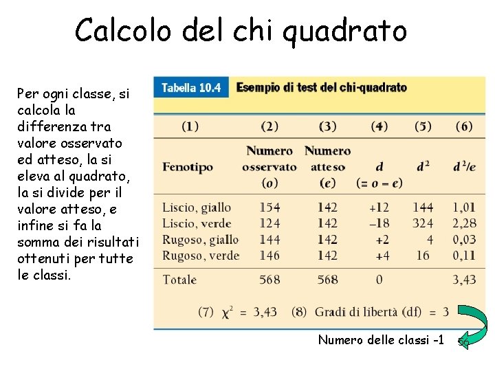 Calcolo del chi quadrato Per ogni classe, si calcola la differenza tra valore osservato