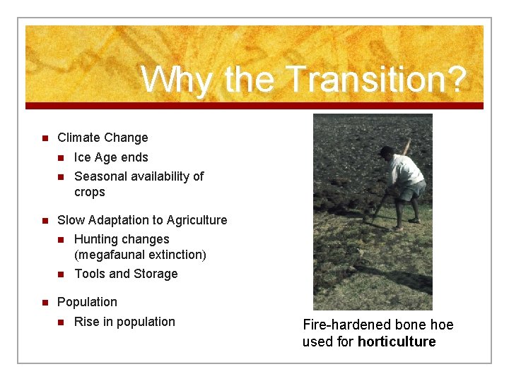 Why the Transition? n n n Climate Change n Ice Age ends n Seasonal