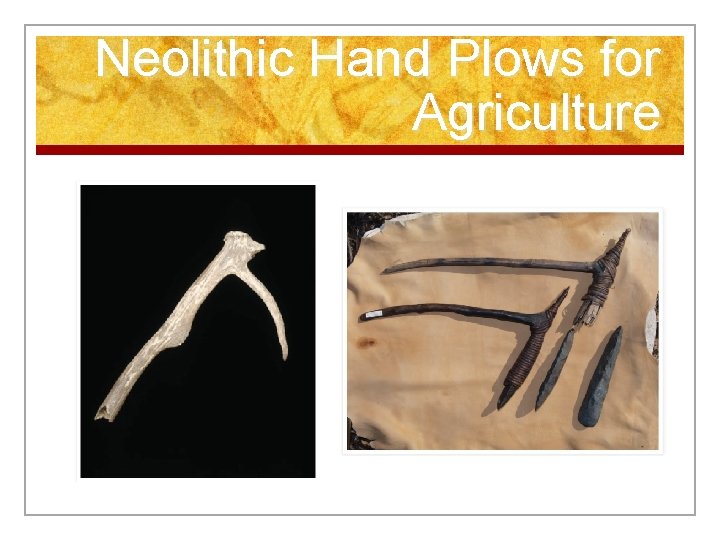 Neolithic Hand Plows for Agriculture 