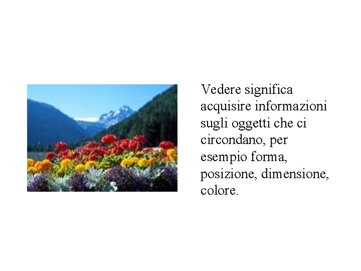 Vedere significa acquisire informazioni sugli oggetti che ci circondano, per esempio forma, posizione, dimensione,