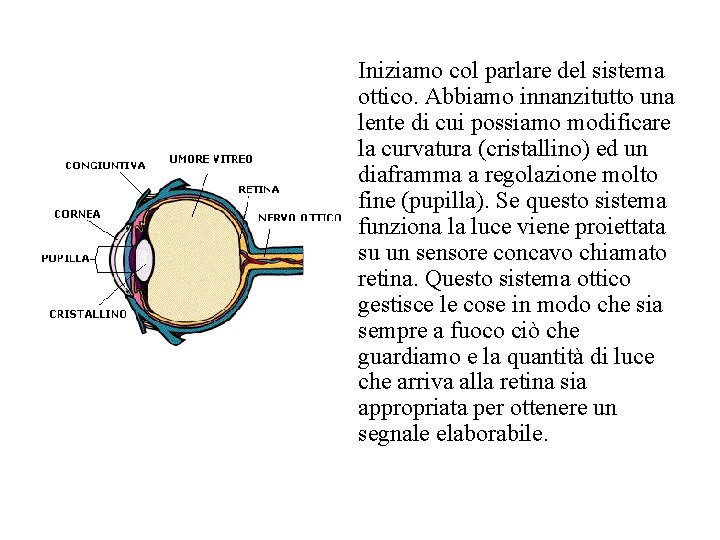 Iniziamo col parlare del sistema ottico. Abbiamo innanzitutto una lente di cui possiamo modificare