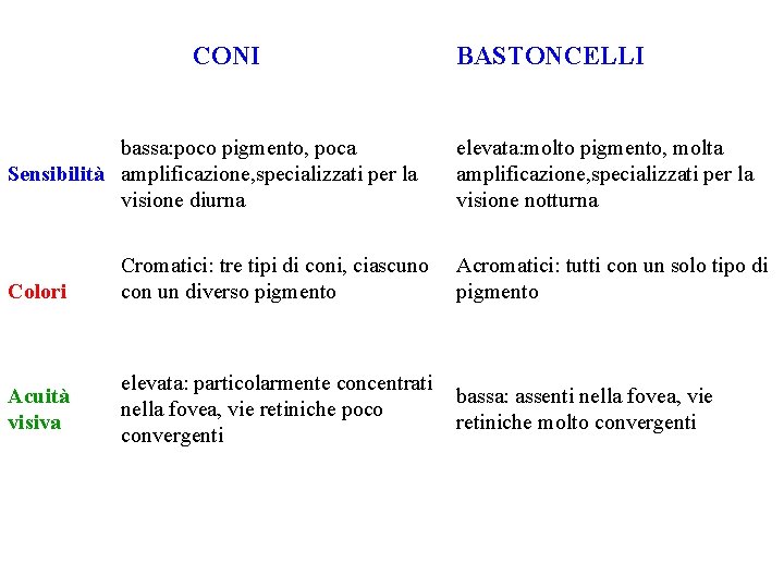 CONI bassa: poco pigmento, poca Sensibilità amplificazione, specializzati per la visione diurna Colori Acuità