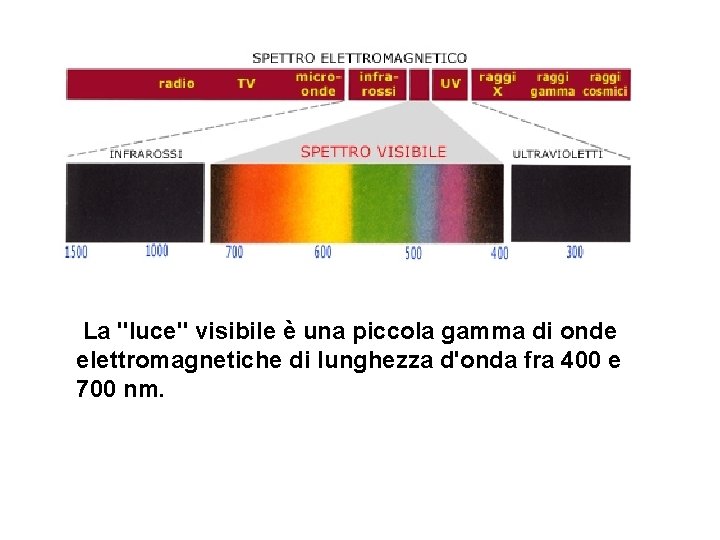 La "luce" visibile è una piccola gamma di onde elettromagnetiche di lunghezza d'onda fra