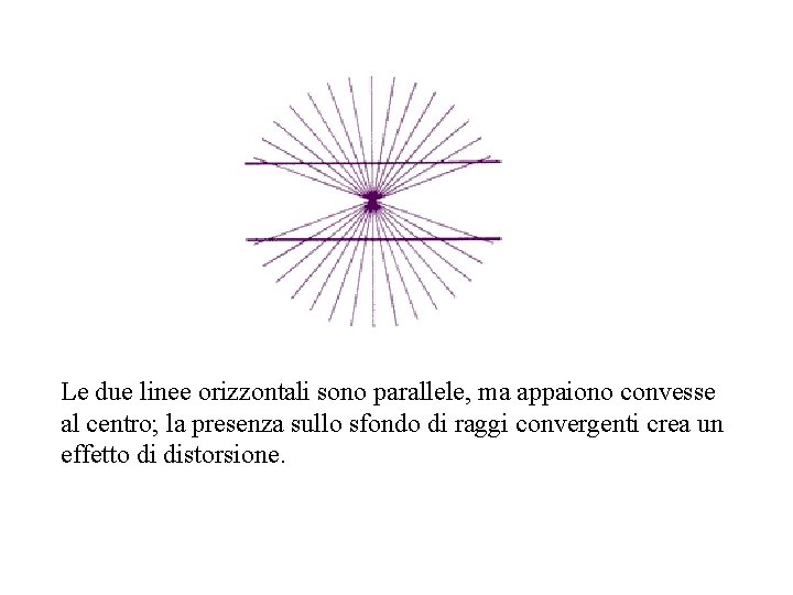 Le due linee orizzontali sono parallele, ma appaiono convesse al centro; la presenza sullo