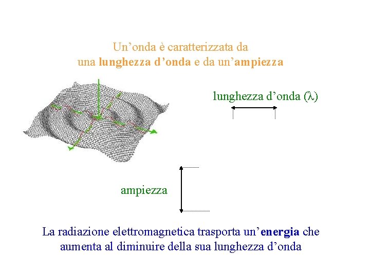 Un’onda è caratterizzata da una lunghezza d’onda e da un’ampiezza lunghezza d’onda (λ) ampiezza