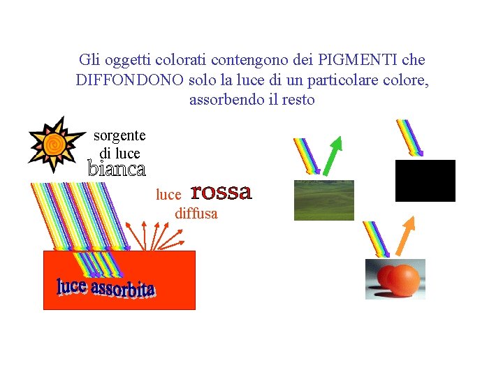 Gli oggetti colorati contengono dei PIGMENTI che DIFFONDONO solo la luce di un particolare