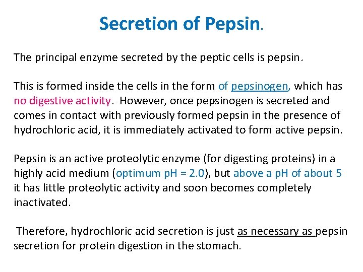 Secretion of Pepsin. The principal enzyme secreted by the peptic cells is pepsin. This