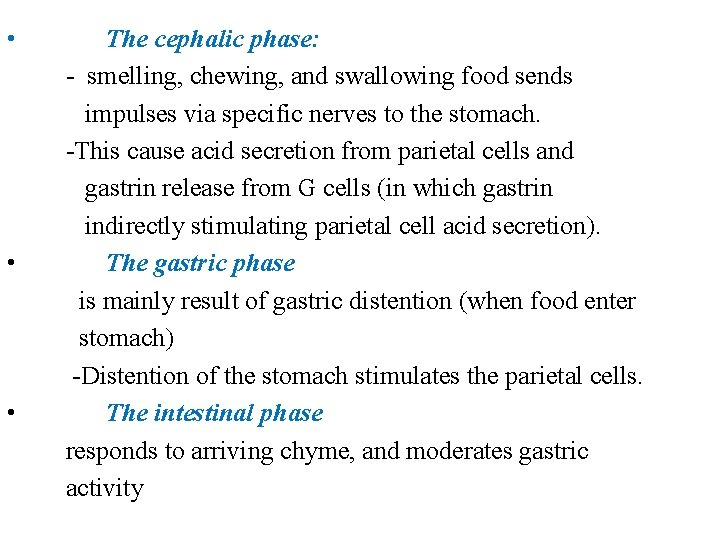  • • • The cephalic phase: - smelling, chewing, and swallowing food sends