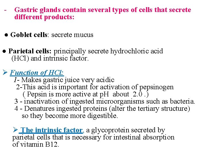 - Gastric glands contain several types of cells that secrete different products: ● Goblet