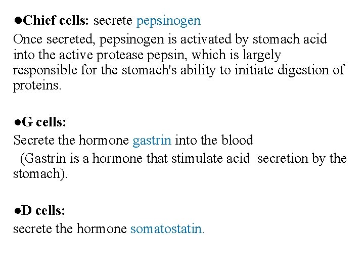●Chief cells: secrete pepsinogen Once secreted, pepsinogen is activated by stomach acid into the