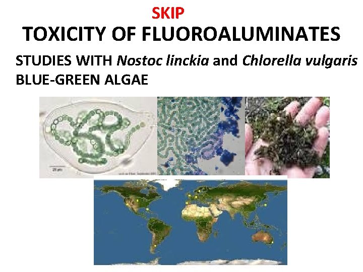 SKIP TOXICITY OF FLUOROALUMINATES STUDIES WITH Nostoc linckia and Chlorella vulgaris BLUE-GREEN ALGAE 