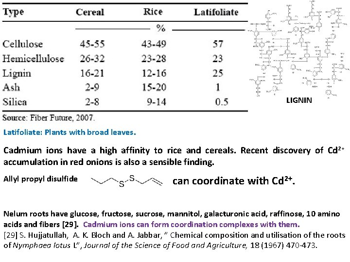LIGNIN Latifoliate: Plants with broad leaves. Cadmium ions have a high affinity to rice