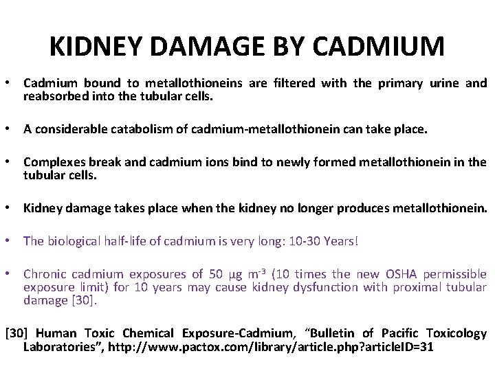 KIDNEY DAMAGE BY CADMIUM • Cadmium bound to metallothioneins are filtered with the primary