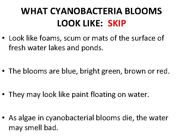 WHAT CYANOBACTERIA BLOOMS LOOK LIKE: SKIP • Look like foams, scum or mats of