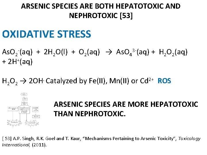ARSENIC SPECIES ARE BOTH HEPATOTOXIC AND NEPHROTOXIC [53] OXIDATIVE STRESS As. O 2 -(aq)