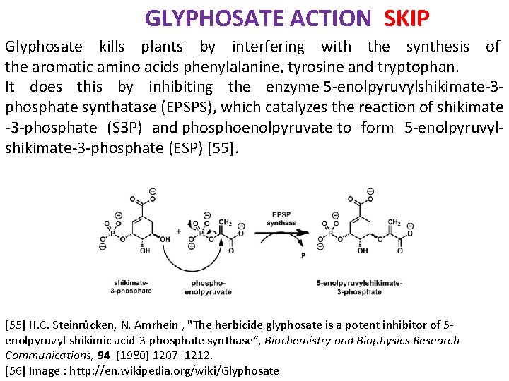 GLYPHOSATE ACTION SKIP Glyphosate kills plants by interfering with the synthesis of the aromatic