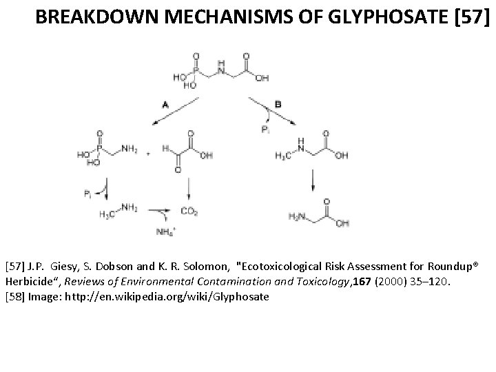  BREAKDOWN MECHANISMS OF GLYPHOSATE [57] J. P. Giesy, S. Dobson and K. R.