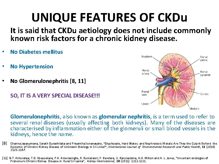 UNIQUE FEATURES OF CKDu It is said that CKDu aetiology does not include commonly