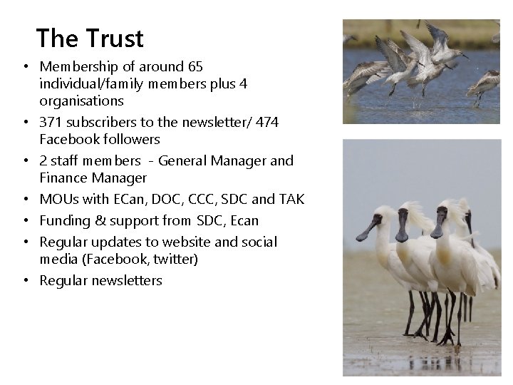 The Trust • Membership of around 65 individual/family members plus 4 organisations • 371