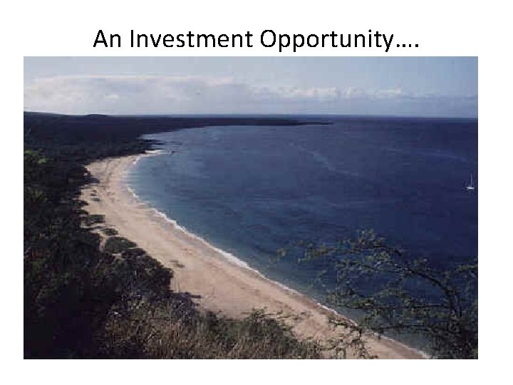 An Investment Opportunity…. 