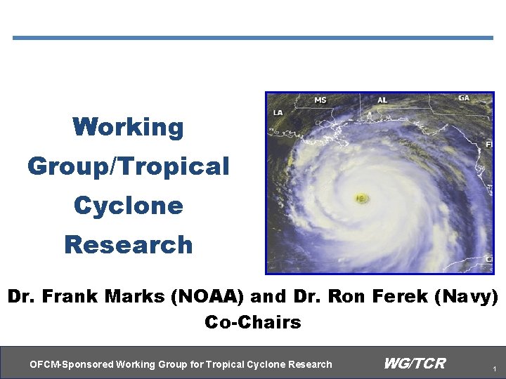 Working Group/Tropical Cyclone Research Dr. Frank Marks (NOAA) and Dr. Ron Ferek (Navy) Co-Chairs