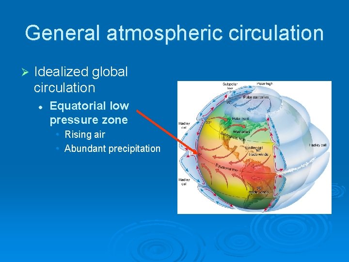 General atmospheric circulation Ø Idealized global circulation l Equatorial low pressure zone • Rising