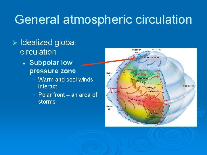 General atmospheric circulation Ø Idealized global circulation l Subpolar low pressure zone • Warm