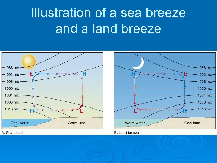 Illustration of a sea breeze and a land breeze 