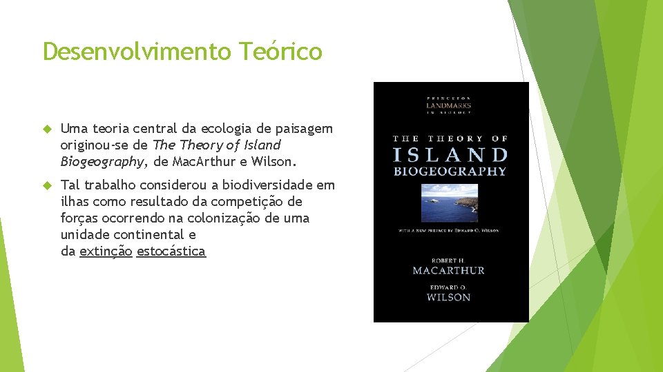 Desenvolvimento Teórico Uma teoria central da ecologia de paisagem originou-se de Theory of Island