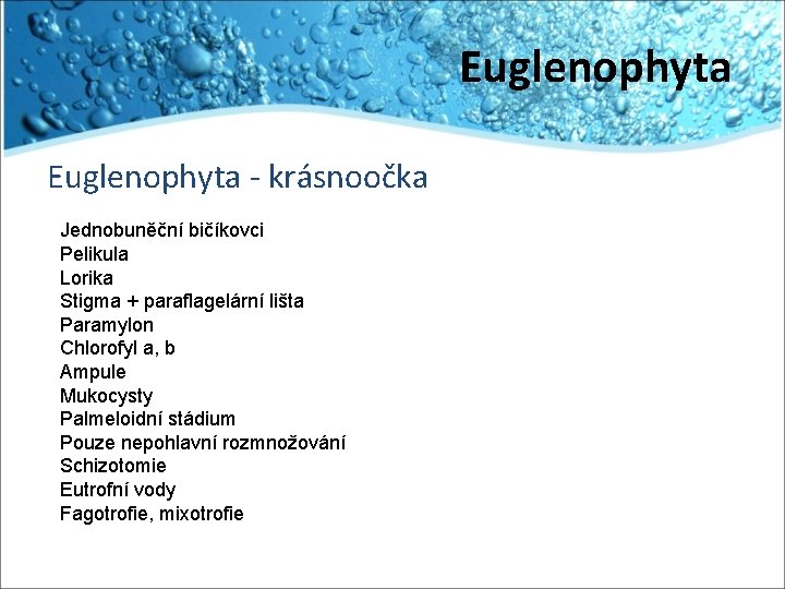 Euglenophyta - krásnoočka Jednobuněční bičíkovci Pelikula Lorika Stigma + paraflagelární lišta Paramylon Chlorofyl a,