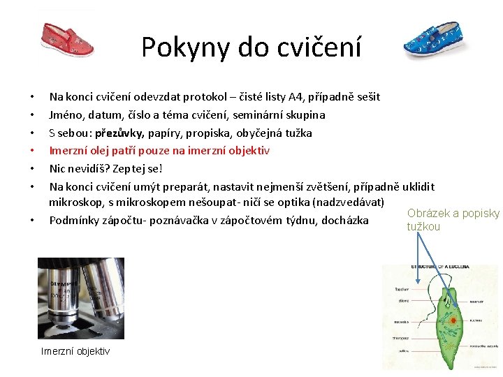 Pokyny do cvičení • • Na konci cvičení odevzdat protokol – čisté listy A