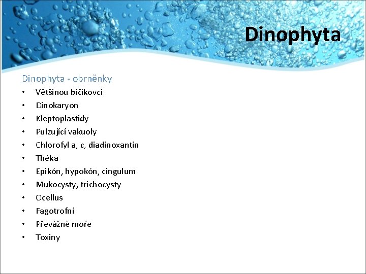Dinophyta - obrněnky • • • Většinou bičíkovci Dinokaryon Kleptoplastidy Pulzující vakuoly Chlorofyl a,