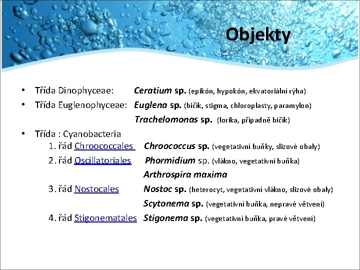 Objekty • Třída Dinophyceae: Ceratium sp. (epikón, hypokón, ekvatoriální rýha) • Třída Euglenophyceae: Euglena