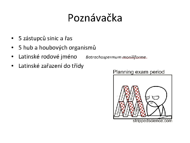 Poznávačka • • 5 zástupců sinic a řas 5 hub a houbových organismů Latinské