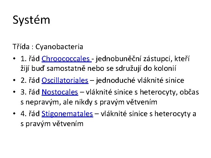 Systém Třída : Cyanobacteria • 1. řád Chroococcales - jednobuněční zástupci, kteří žijí buď