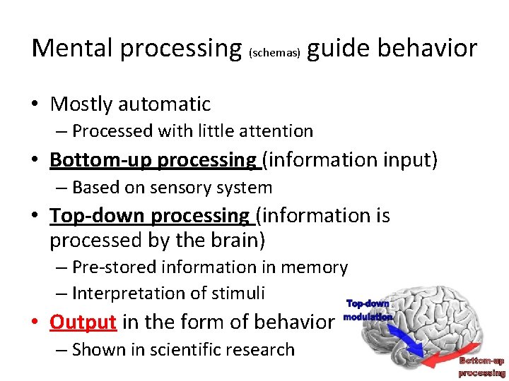 Mental processing (schemas) guide behavior • Mostly automatic – Processed with little attention •