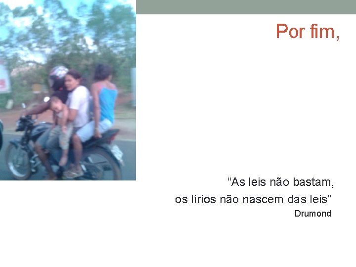 Por fim, “As leis não bastam, os lírios não nascem das leis” Drumond Por fim, “As leis não bastam, os lírios não nascem das leis” Drumond