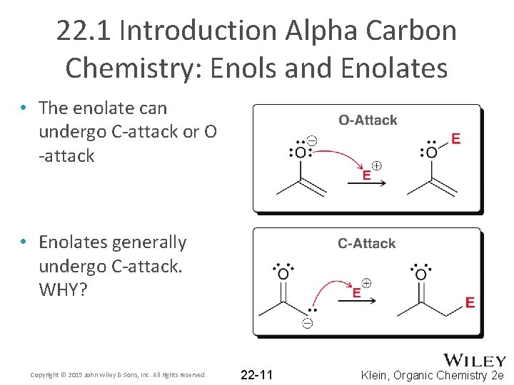 22. 1 Introduction Alpha Carbon Chemistry: Enols and Enolates • The enolate can undergo