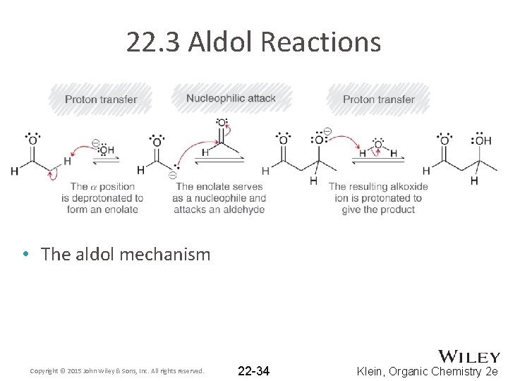 22. 3 Aldol Reactions • The aldol mechanism Copyright © 2015 John Wiley &