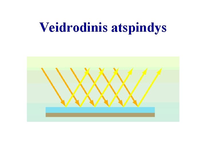 Veidrodinis atspindys 