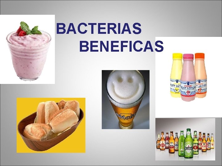 BACTERIAS BENEFICAS 