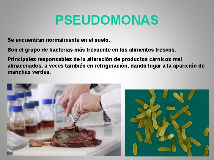 PSEUDOMONAS Se encuentran normalmente en el suelo. Son el grupo de bacterias más frecuente