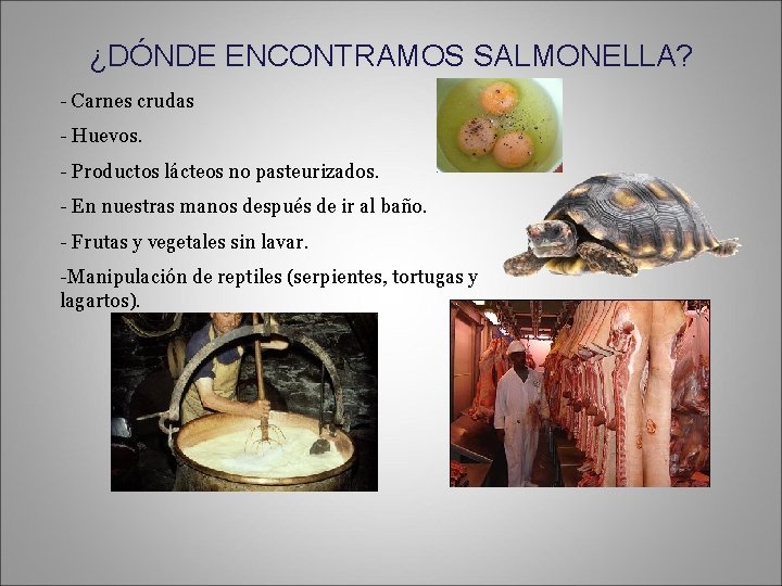 ¿DÓNDE ENCONTRAMOS SALMONELLA? - Carnes crudas - Huevos. - Productos lácteos no pasteurizados. -