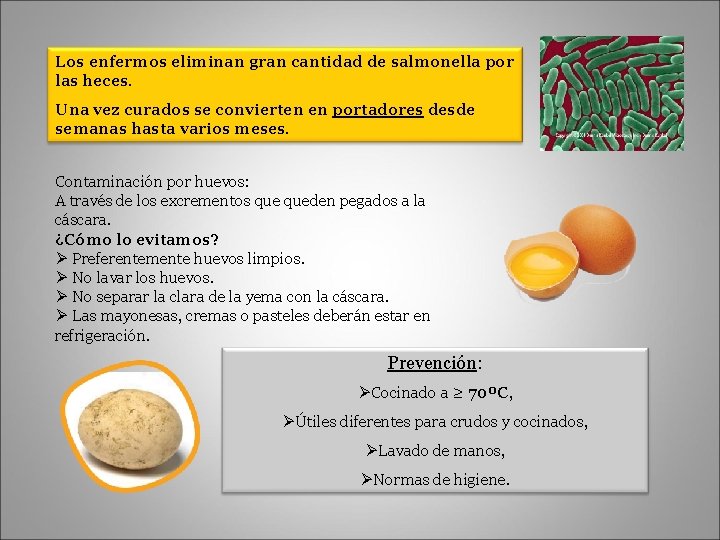 Los enfermos eliminan gran cantidad de salmonella por las heces. Una vez curados se