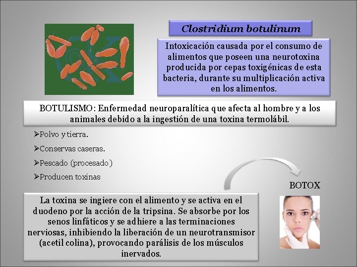 Clostridium botulinum Intoxicación causada por el consumo de alimentos que poseen una neurotoxina producida