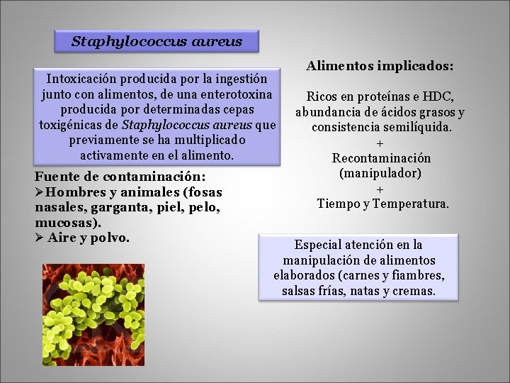 Staphylococcus aureus Intoxicación producida por la ingestión junto con alimentos, de una enterotoxina producida