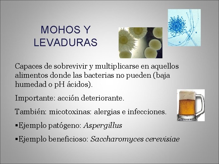 MOHOS Y LEVADURAS Capaces de sobrevivir y multiplicarse en aquellos alimentos donde las bacterias
