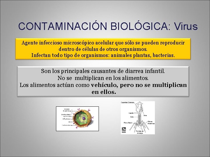 CONTAMINACIÓN BIOLÓGICA: Virus Agente infeccioso microscópico acelular que sólo se pueden reproducir dentro de