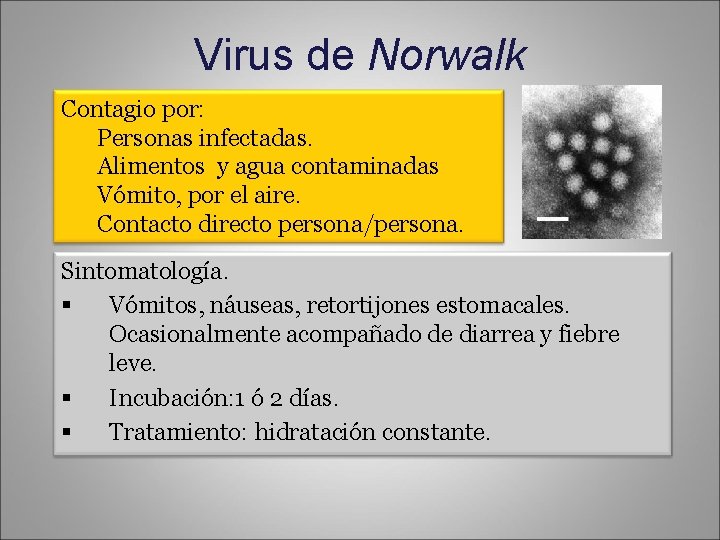 Virus de Norwalk Contagio por: Personas infectadas. Alimentos y agua contaminadas Vómito, por el