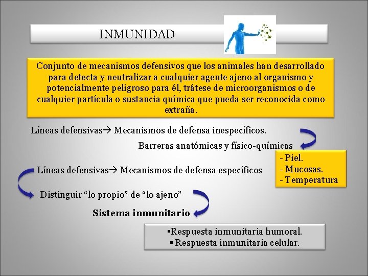 INMUNIDAD Conjunto de mecanismos defensivos que los animales han desarrollado para detecta y neutralizar